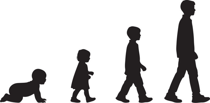 Silhouettes illustrating the stages of human growth from infancy crawling to adulthood walking, representing life cycle and development.