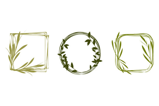 Three elegant green botanical frames. A square, a circle, and a rounded square design, each adorned with simple leaf elements. Perfect decorative borders for various design projects.