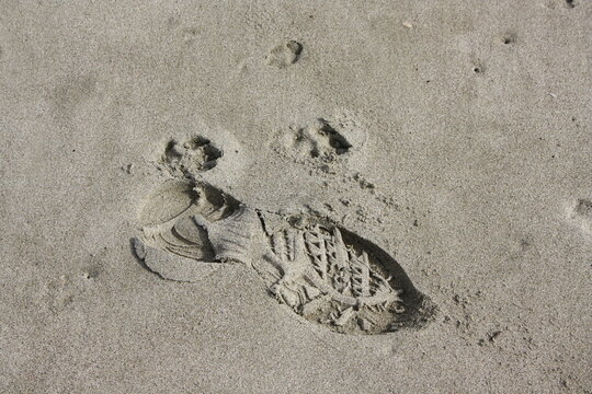 footprint in sand