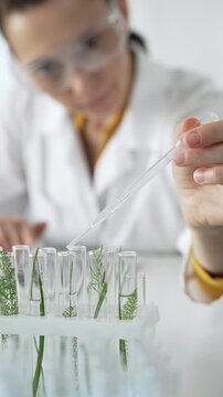 Woman scientist wearing a lab coat, is dripping liquid from a pipette into a test tube with a green plant inside, vertical close up view. Science and medicine concepts
