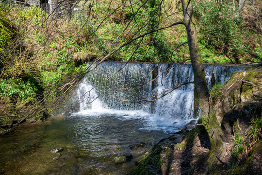 Waterfall in the forest on a hill
