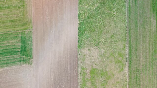 aerial farmland road and field boundary top view for agriculture background with soil and crop pattern contrast