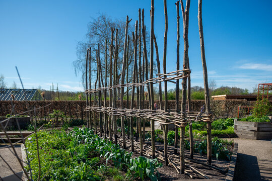 wooden struts in garden for growing