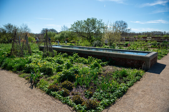 garden in the park of versailles