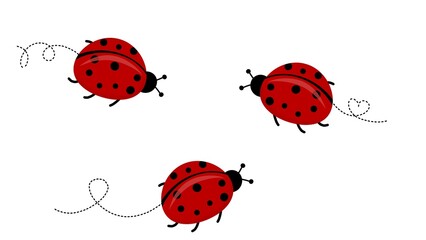 Flat design of lady bug on white background.  © FibriyantiNur