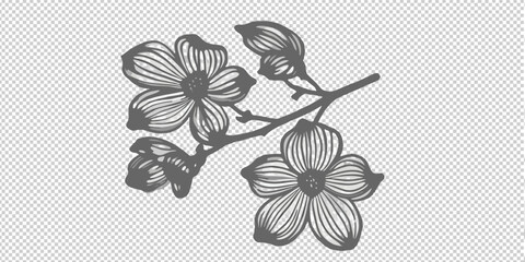 Obraz premium Delicate floral branch illustration with detailed blossoms in grayscale