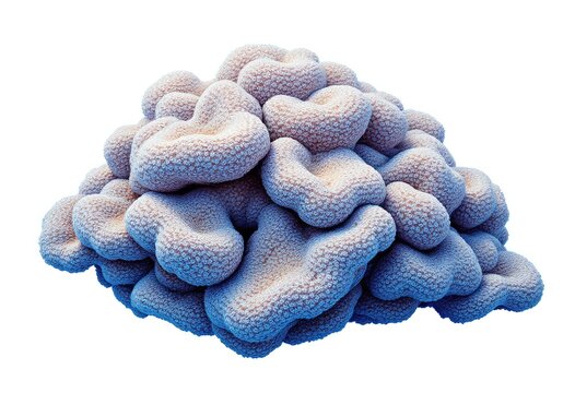 Clump of textured, light-pink coral-like formations