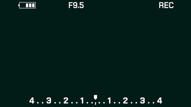 Camera viewfinder display showing f9.5 aperture and recording status screen information interface