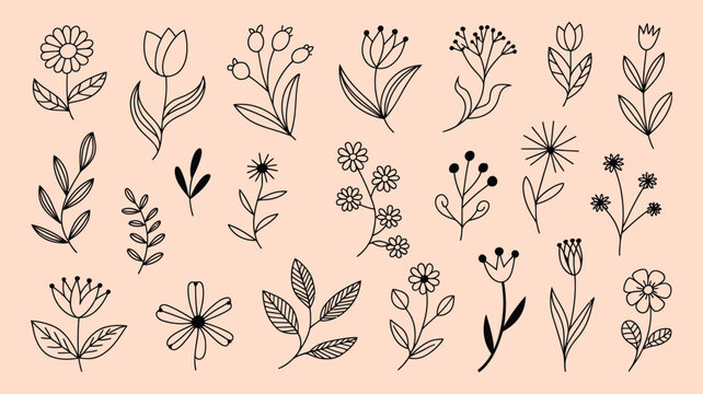 set of hand drawn spring summer flowers, black brush flower silhouettes, wild plants, herbs, and floral elements, monochrome vector botanical illustration, minimalist elegant design for posters.