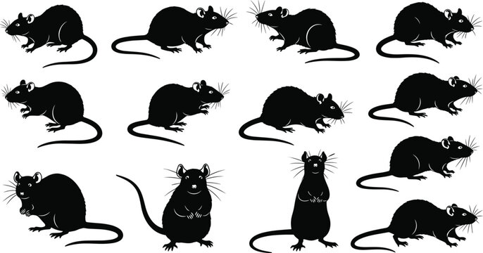 Mouse Silhouette Icon Set Featuring Various Poses and Stances for Animal, Rodent, and Wildlife Themes