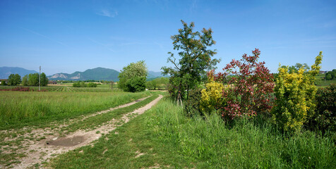 Fototapeta premium franciacorta