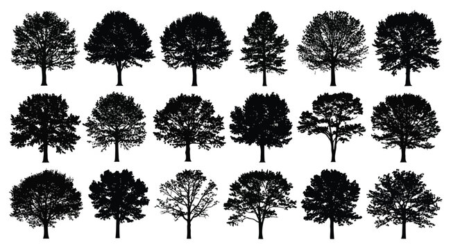 Collection of various deciduous tree silhouettes