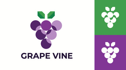 This logo features a modern and geometric grape vine design, emphasizing creativity and elegance, suitable for wineries or organic products branding. © Huilong