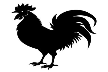 Rooster silhouette vector, Rooster black symbol, chicken vector illustration  © Silhouette Studio