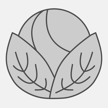 White cabbage isometric icon, vegetables concept. Vector graphics. Cabbage food sign with outline style for mobile or web design.
