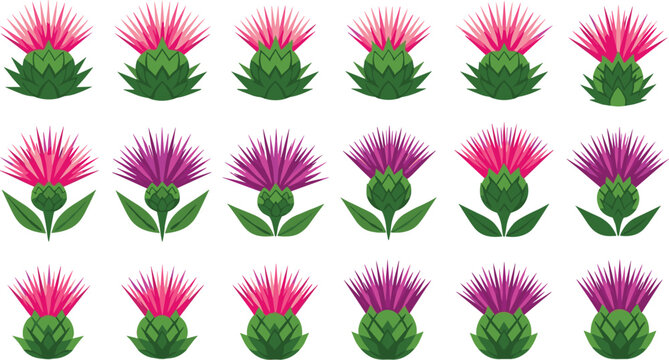 Purple and Pink Flower Collection Featuring Artichoke and Thistle Designs for Nature, Garden, and Floral Illustrations