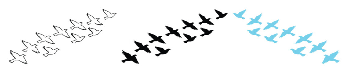 Fototapeta premium Flock of Birds Vector Set, stylized flying bird silhouettes, abstract animal migration illustration, freedom and journey concept for nature designs