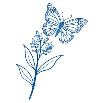 adonis blue butterfly bush flower line art with branch on white background