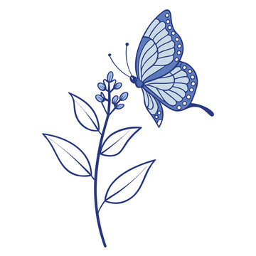 adonis blue butterfly bush flower on white background