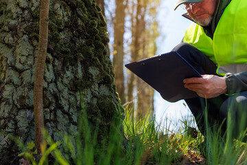Focused male ecologist in a safety vest conducting a detailed tree trunk analysis near the roots to moss growth for a forestry conservation report and record environmental conditions. © A Stock Studio