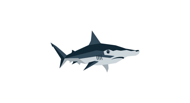 Mako Shark in the water.