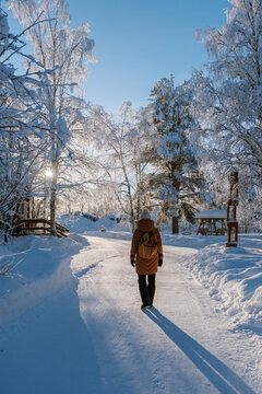 Stroll through the magical winter landscape of Akaslompo Village, Finland, where snow-covered trees glisten under bright sunlight. A woman walks in the white snow-blanketed forest in Lapland