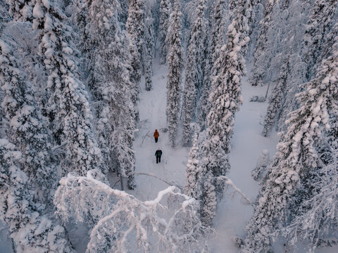 Two explorers navigate a serene, snow-blanketed forest in Akaslompolo, Lapland, Finland. Towering trees draped in white create a dreamy winter landscape perfect for outdoor activities.