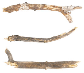 Obraz premium piece of driftwood isolated white background. piece of a broken tree branch. brushwood. wooden stick