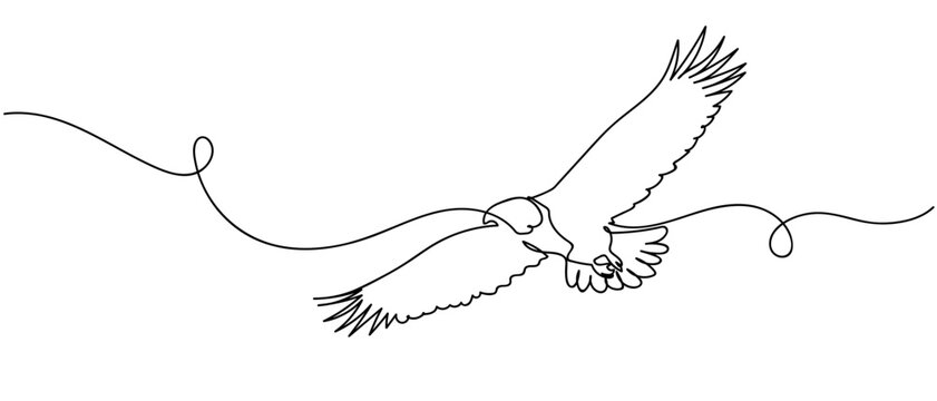One continuous single line drawing of An eagle flying in the sky. isolated on white background minimalism design. Editable stroke.