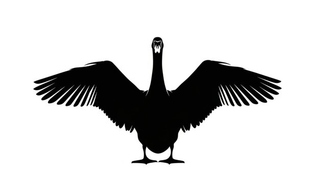 Swan silhouette with wings spread dramatic elegant bird pose minimalist black vector isolated on white background