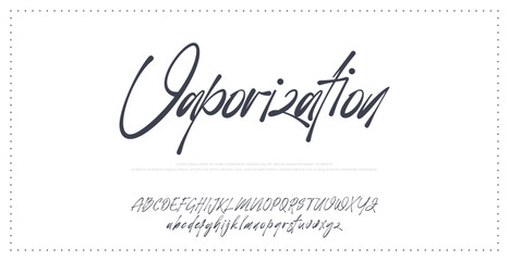 calligraphy style template elegant typography grunge lettering brush scribble symbol modern handwritten banner script poster alphabet sign texture unique branding lowercase invitation logo wedding © ch