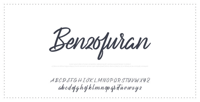 banner card decorative greeting invitation design graphic brush simple signature font handwritten wedding poster pen black calligraphic fluent creative elegant logo personal blog script socialmedia