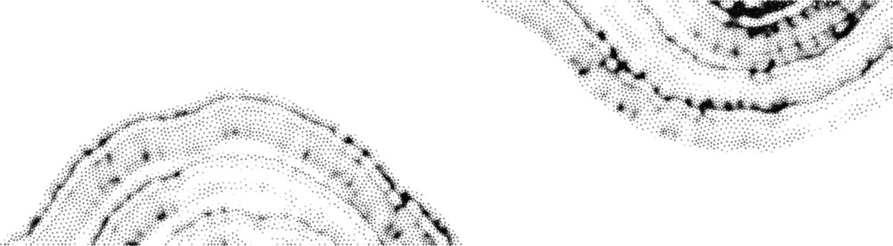 Abstract black dotted halftone patterns with wave and ripple textures.