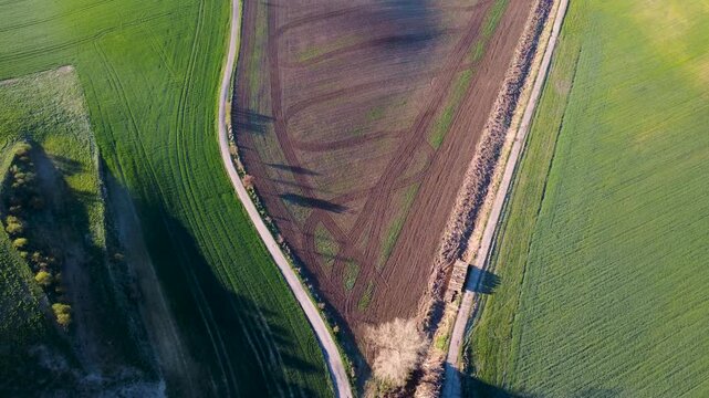 Top down aerial drone flight over sustainable green agricultural fields and a rural road fork. A cinematic overhead view of beautiful spring countryside and ecological farming land.