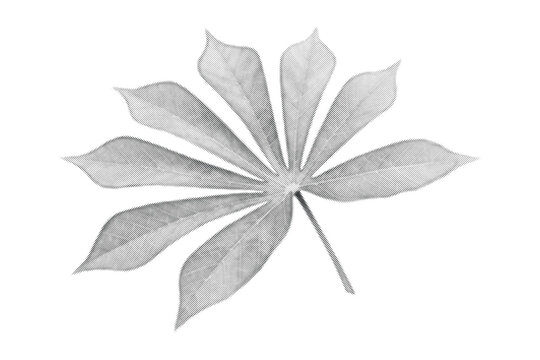 Palmate leaf graphic featuring a distinctive halftone dot pattern and stem.