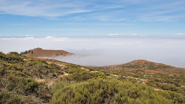 white clouds over a mountain landscape with shrubs in Teide national park, Tenerife, Canary islands, Spain 