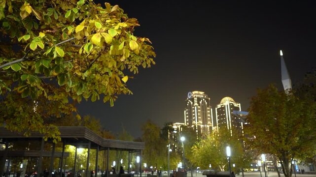 Grozny at night, Chechen Republic