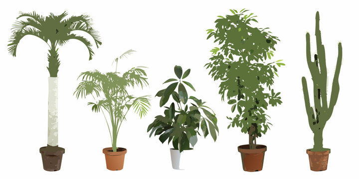 Potted houseplants collection six different varieties vector illustration