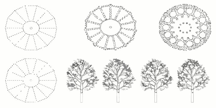 Tree canopy diagrams and silhouettes vector illustration set