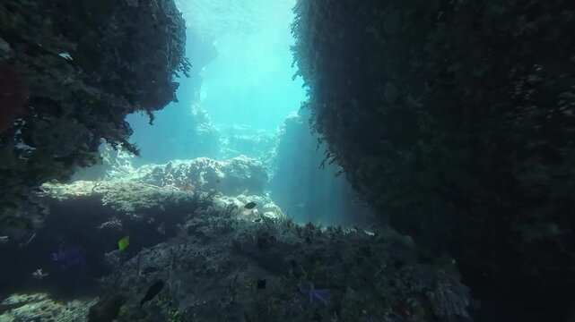 Underwater cave within tropical coral reef. Cinematic footage of sunlight filtering into a rocky cavern with marine life in clear blue ocean water.