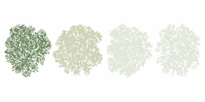 tree canopy silhouettes in four color variations on white background