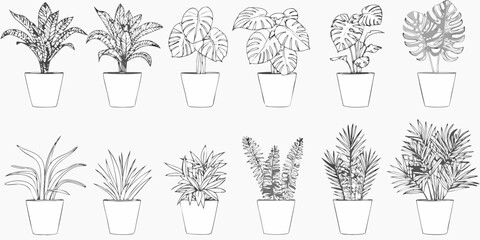 Potted plant collection twelve line drawing variants on white background © Amrito