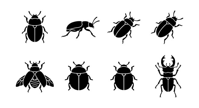 Insect Silhouettes Collection, Beetle Icons Set, Entomology Vector Graphics, Nature Elements