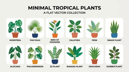 Tropical plants in colorful pots. © Apolobay