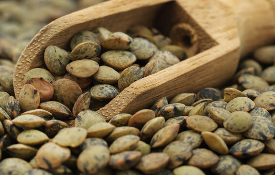 French Green lentils