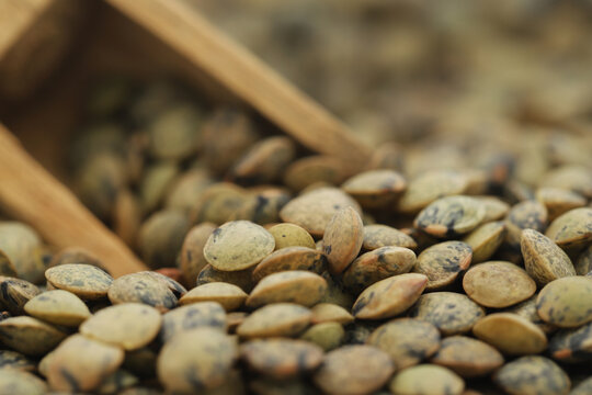French Green lentils