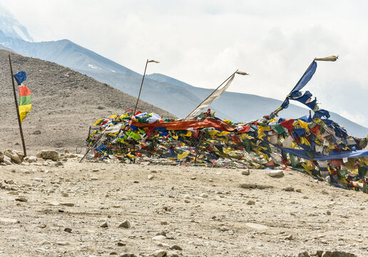 Colorful Buddhist prayer flags fluttering in a barren high-altitude Himalayan landscape, symbolizing spirituality amid rugged mountains and cold desert terrain in North Sikkim.