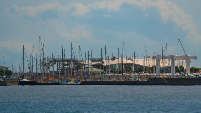 Industrial Port Harbor with Gantry Cranes and Cargo Ships