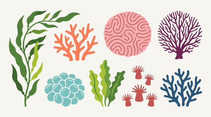 Colorful illustrations of various seaweeds and corals. © Abhinaya Project
