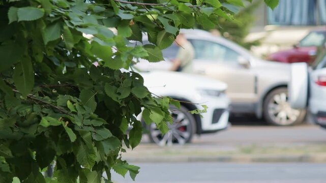 Lush green leaves in foreground frame everyday urban scene - parked cars and person with stroller in background. Contrast between nature and city creates calm, balanced mood, capturing simple beauty o